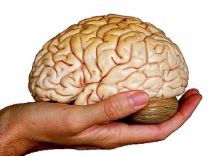 Những dấu hiệu ung thư não giai đoạn đầu ai cũng nên biết